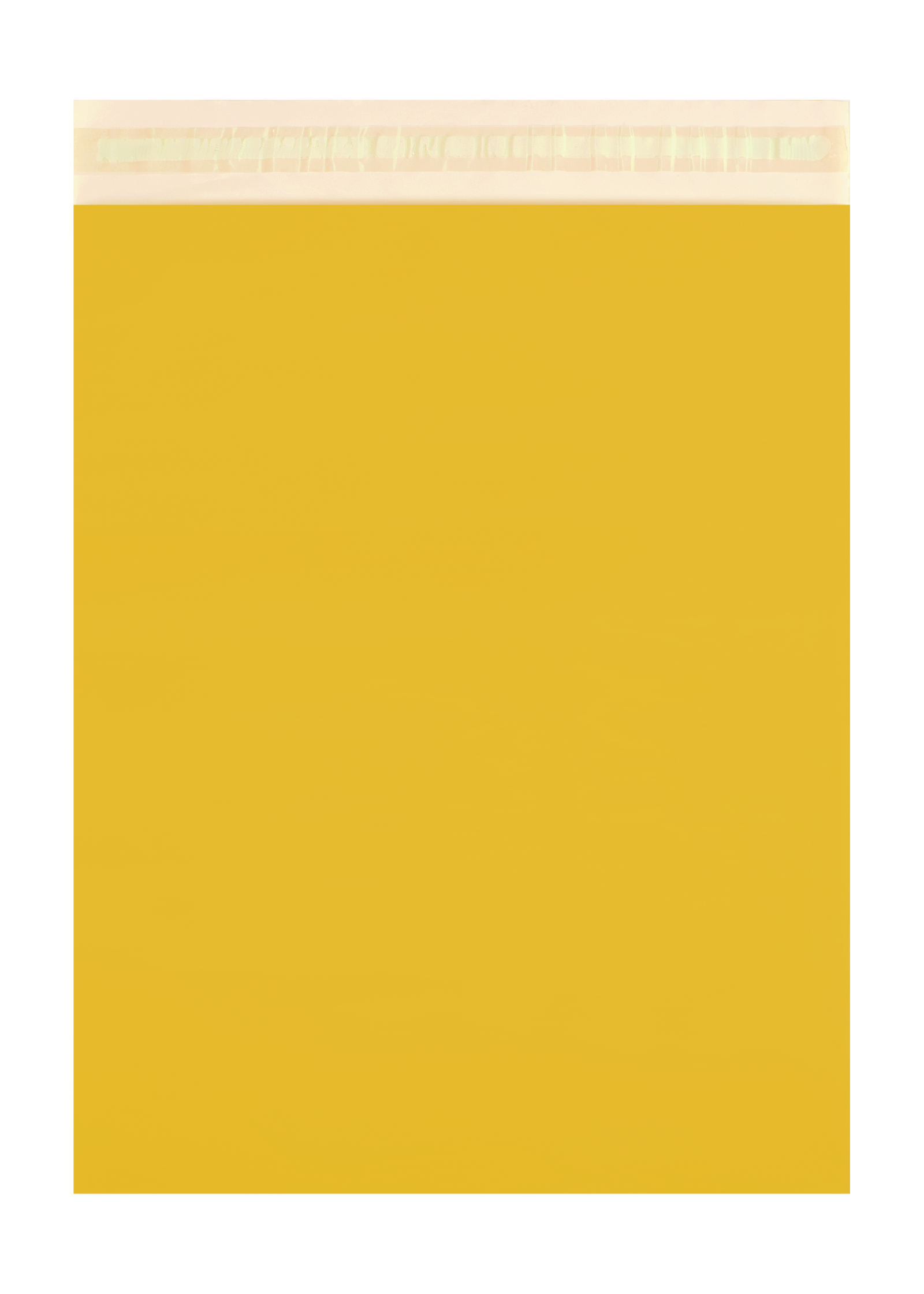 IMG_4530-2.png